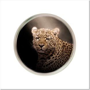 Leopard Panther Wild Animal Safari Africa Jungle Posters and Art